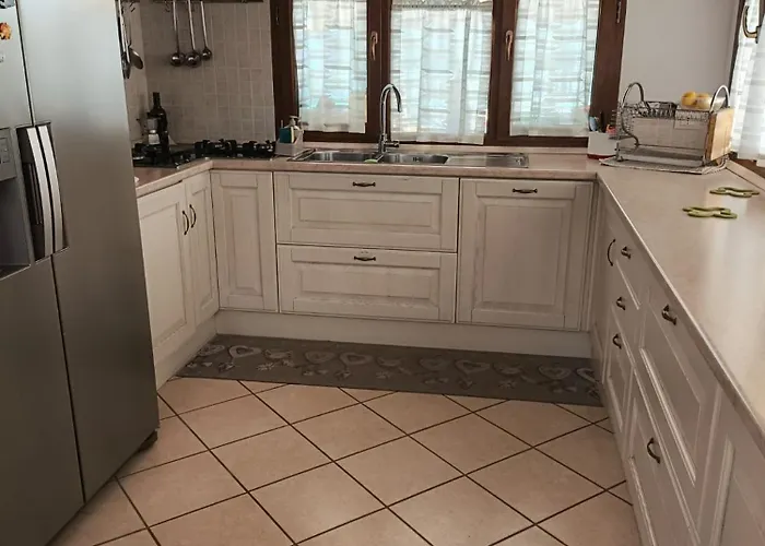 I Bibi 소레델라고푸치니